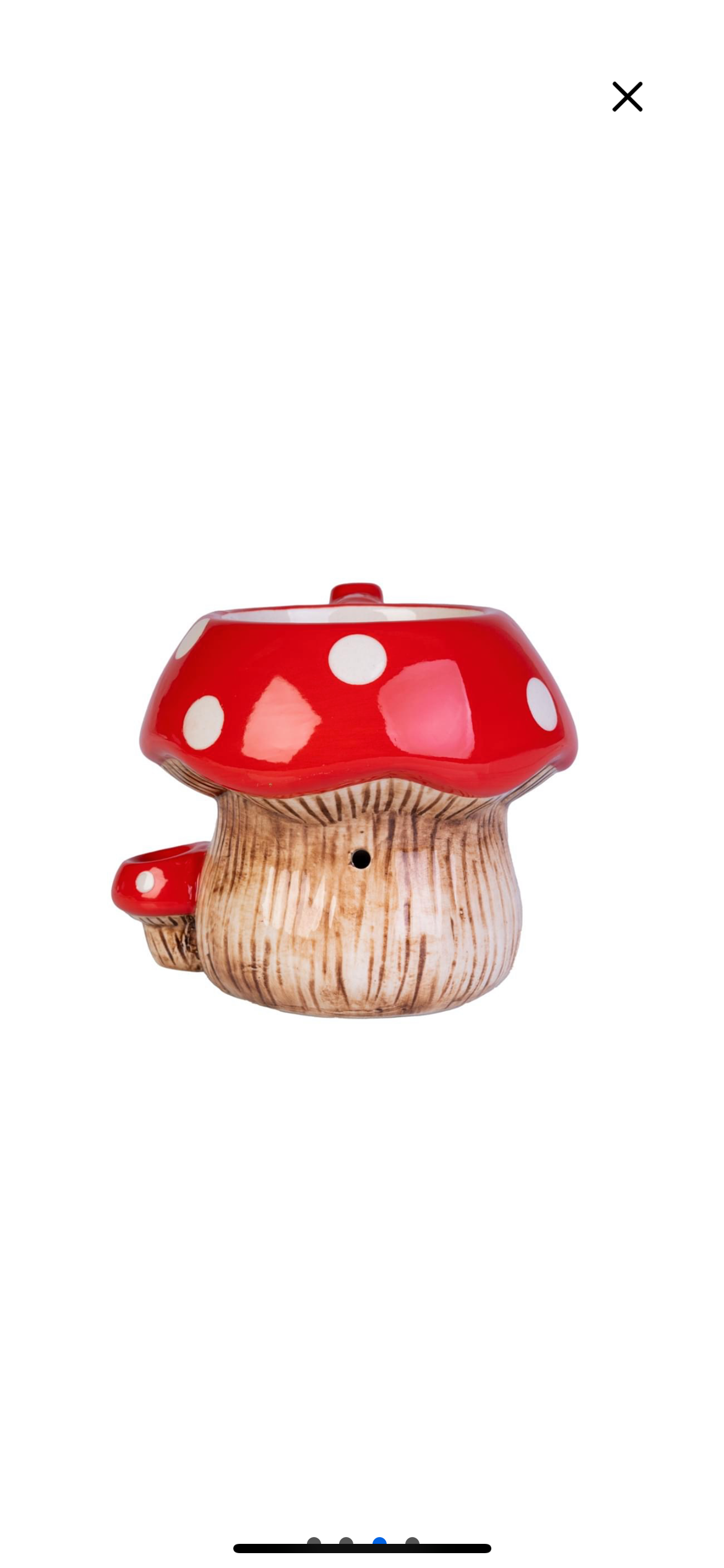 Mushroom Wake and Bake Mug